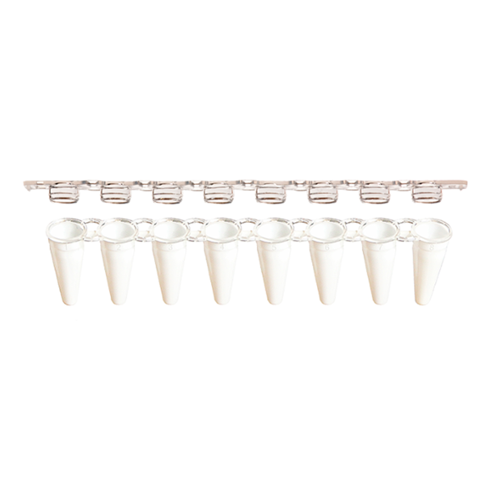 Picture of AmpliStar-II 8-Strip 0.1ml Low-Profile White PCR Tubes with Optical Flat Caps - 10x125