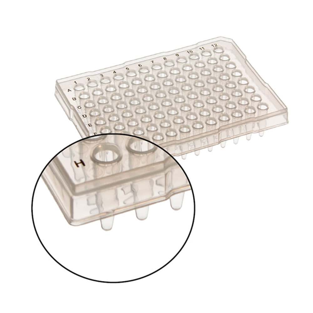 Picture of AmpliStar-II Semi-Skirted (ABI-type) 96-well PCR Plate - 10x10