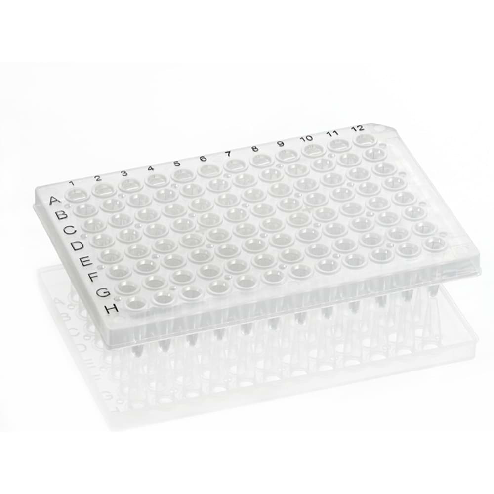 Picture of AmpliStar 96 Well Semi-skirted PCR Plate, Black-lettered - 50 plates
