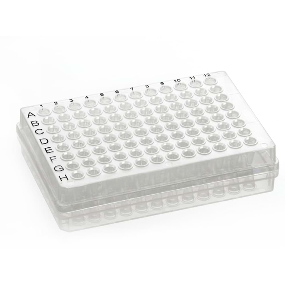 Picture of AmpliStar 96 Well Skirted PCR Plate, Black-lettered - 50 plates