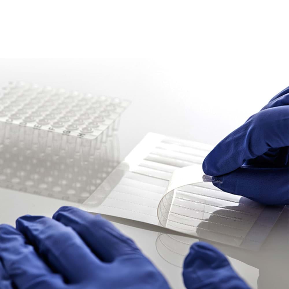Picture of AmpliStar Adhesive PCR Film Seals - 100 sheets