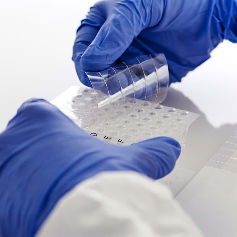 Picture of AmpliStar Adhesive PCR Film Seals - 100 sheets