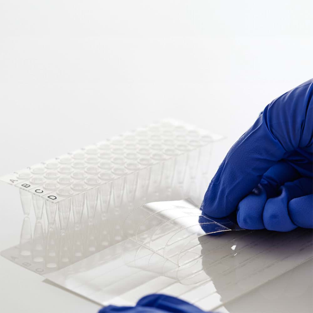 Picture of AmpliStar Adhesive PCR Film Seals - 100 sheets