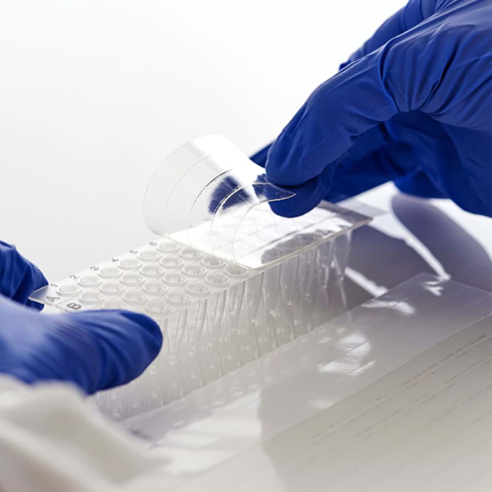 Picture of AmpliStar Adhesive PCR Film Seals - 100 sheets