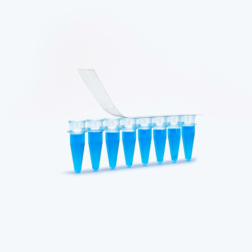 Picture of AmpliStar Ultrastrong Adhesive PCR Film Strips - 400 strips