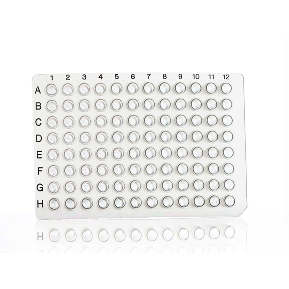 Picture of AmpliStar 96 Well Non-skirted PCR Plate, Black-lettered - 50 plates