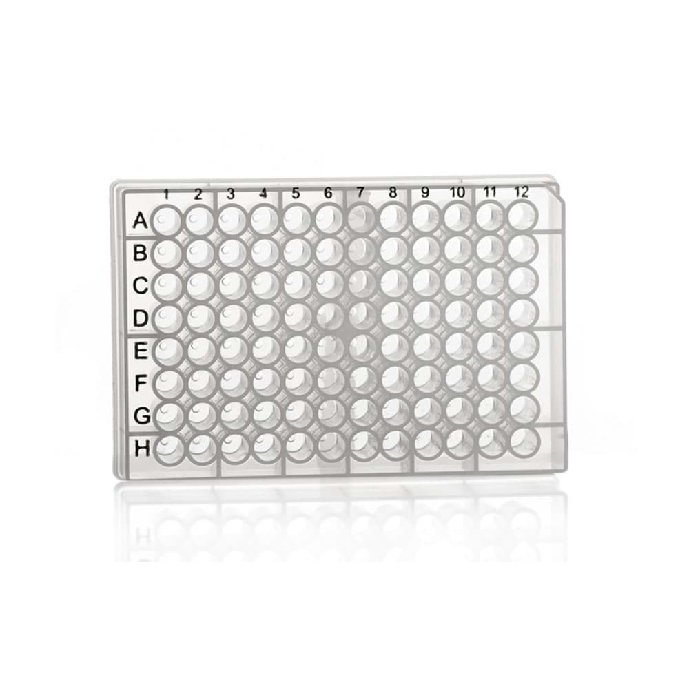 Picture of SafeStore 96 Deep Well Plate, Round wells, 1.0 ml, V-bottom - 50 plates